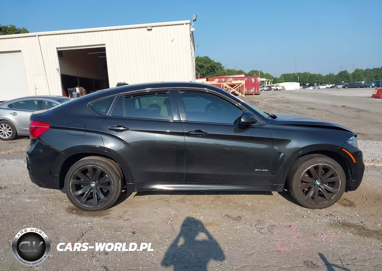 2016 BMW X6 xDrive35I VIN:5UXKU2C50G0N79628 - 13