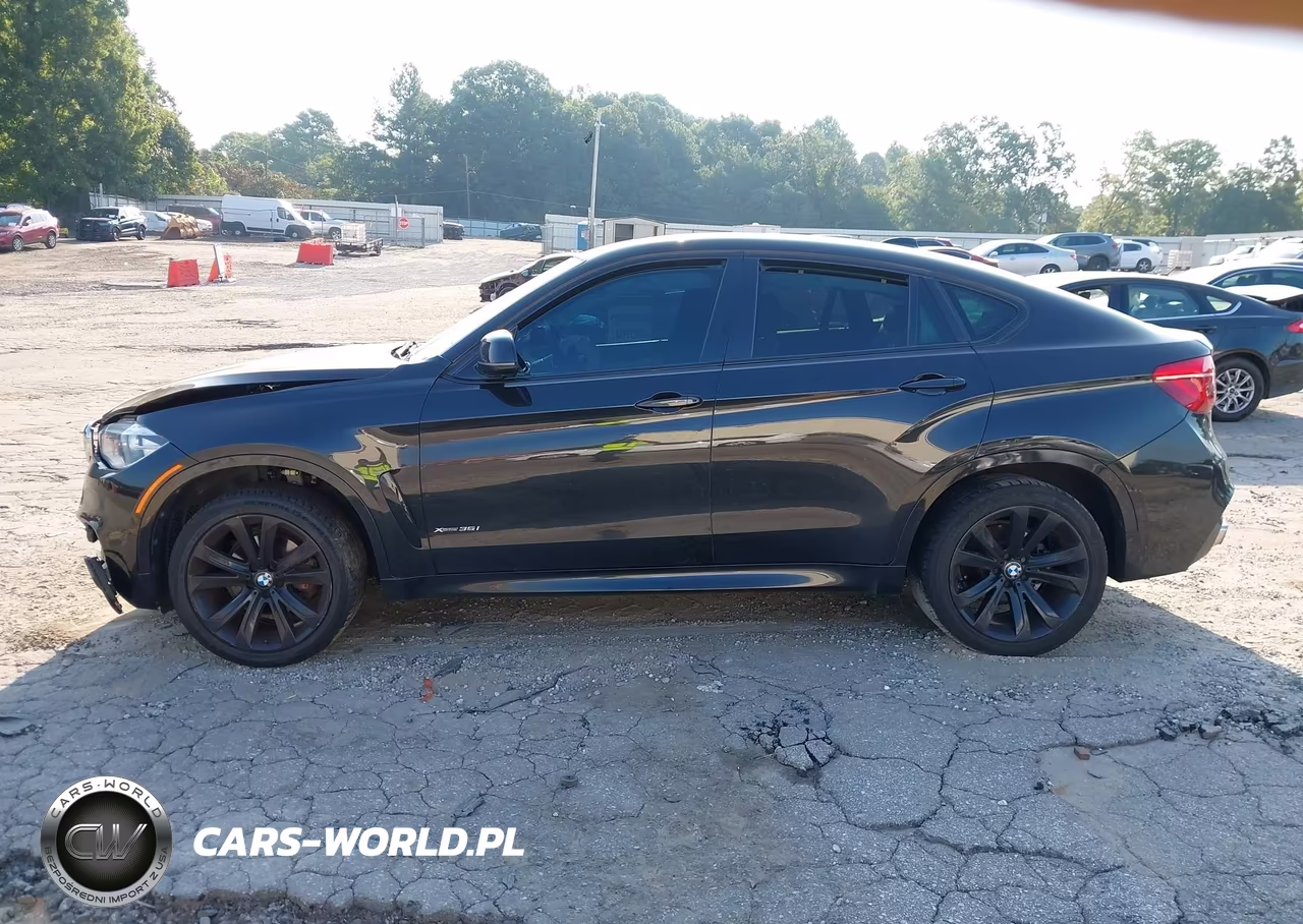 2016 BMW X6 xDrive35I VIN:5UXKU2C50G0N79628 - 14