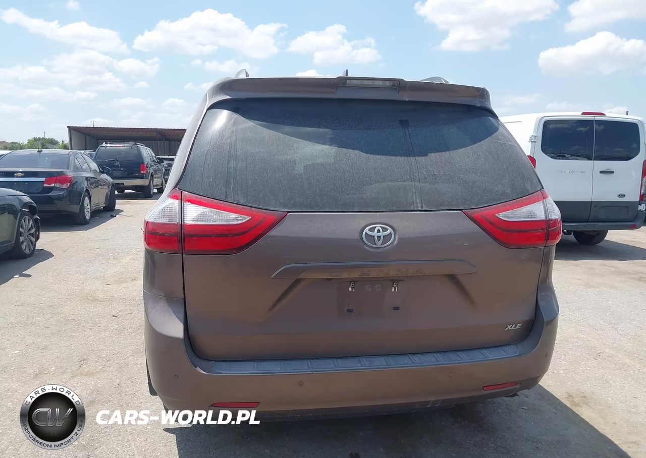2019 Toyota Sienna Xle 8 Passenger VIN:5TDYZ3DC0KS976617 - 16