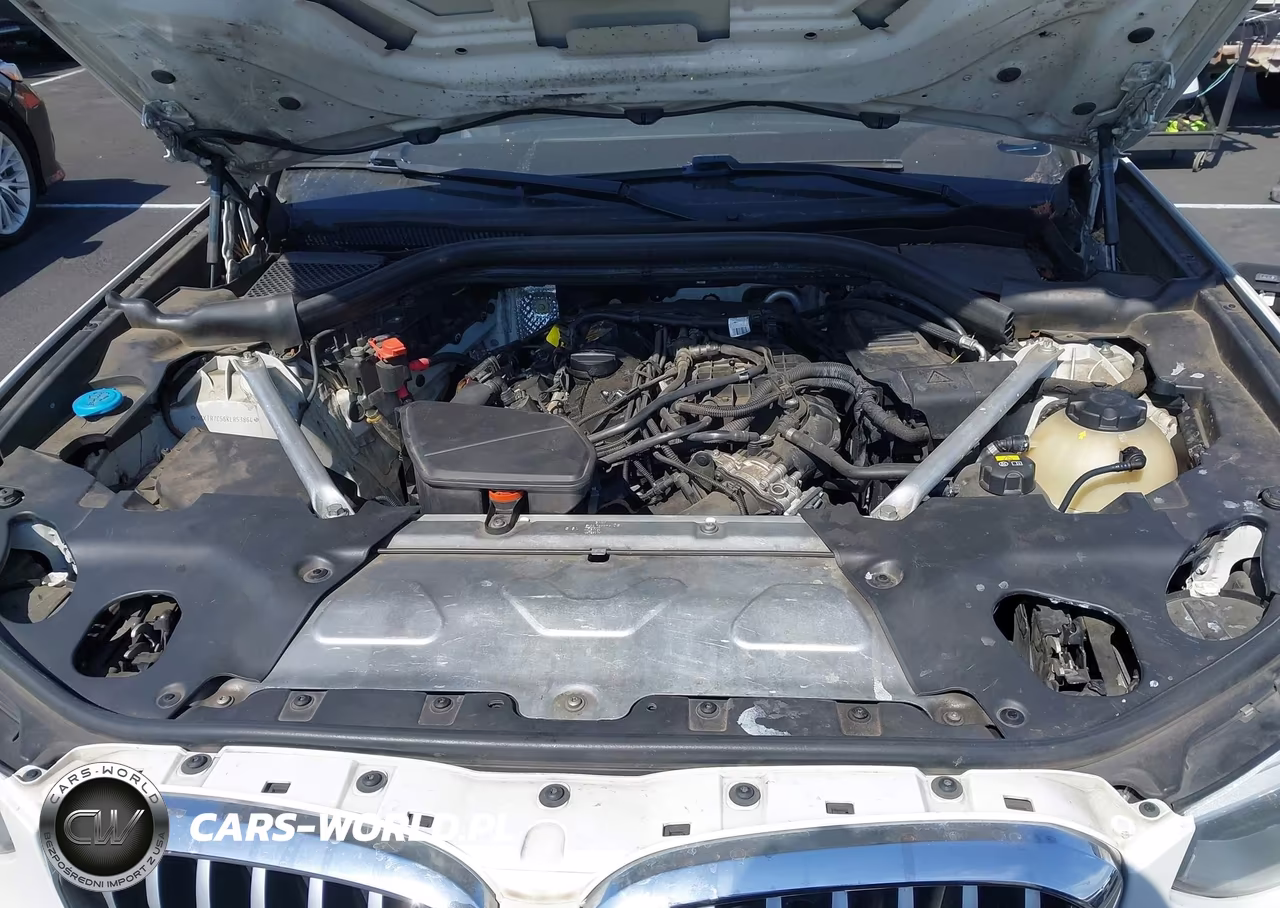 2019 BMW X3 Sdrive30I VIN:5UXTR7C56KLR53864 - 10