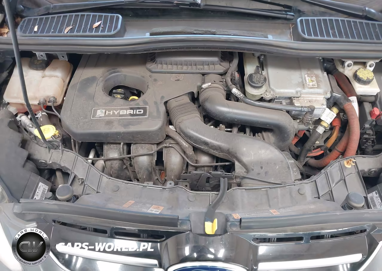 2015 Ford C-Max Hybrid Se VIN:1FADP5AU3FL100859 - 10