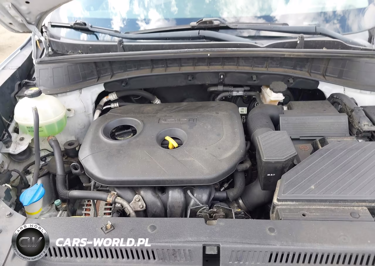 2017 Hyundai Tucson Se VIN:KM8J23A46HU297728 - 10