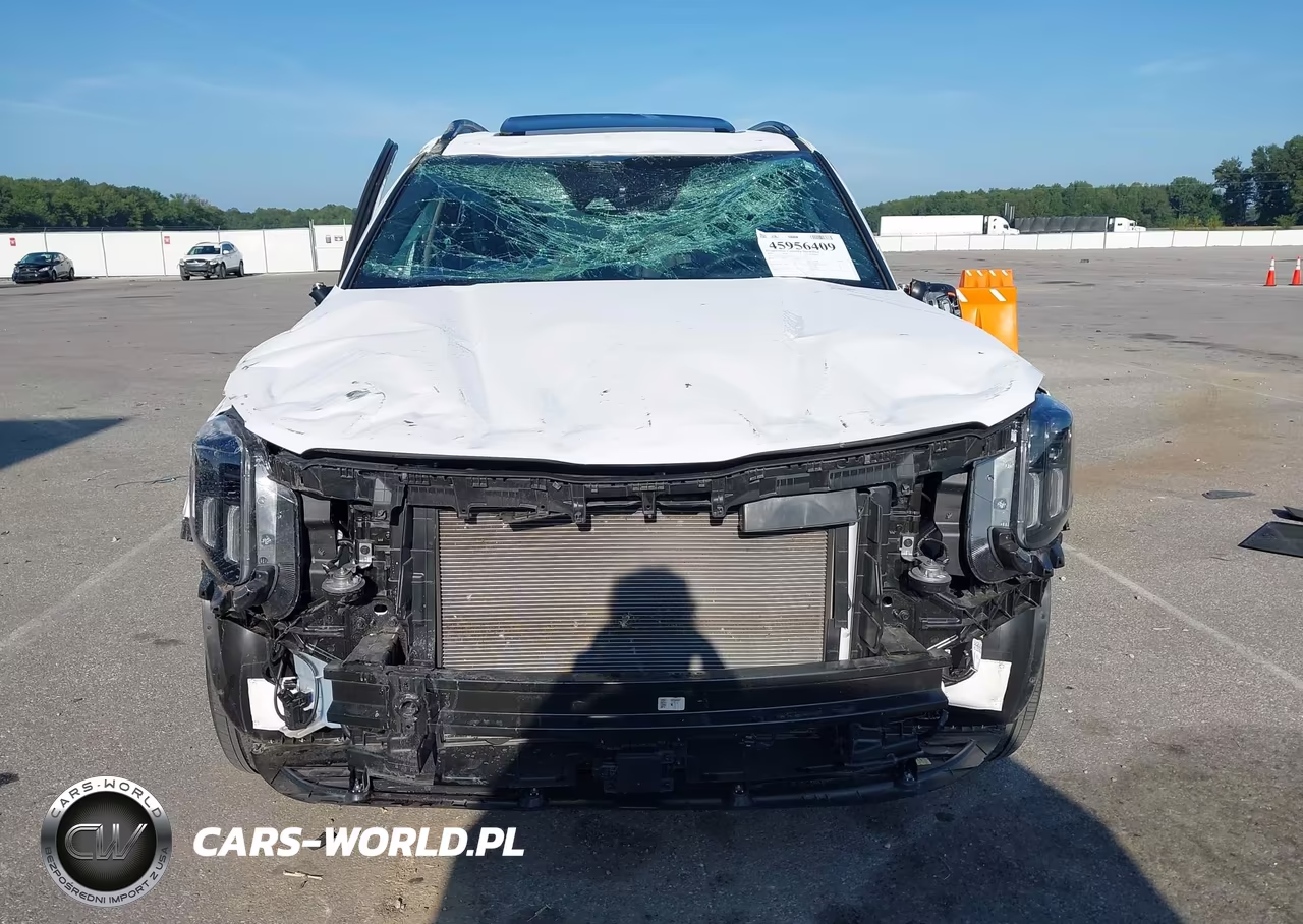2025 Kia Telluride Ex X-Line VIN:5XYP3DGC4SG725949 - 12