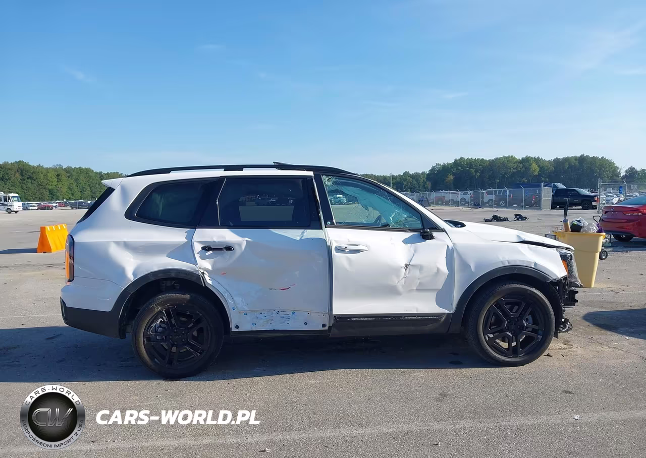 2025 Kia Telluride Ex X-Line VIN:5XYP3DGC4SG725949 - 13