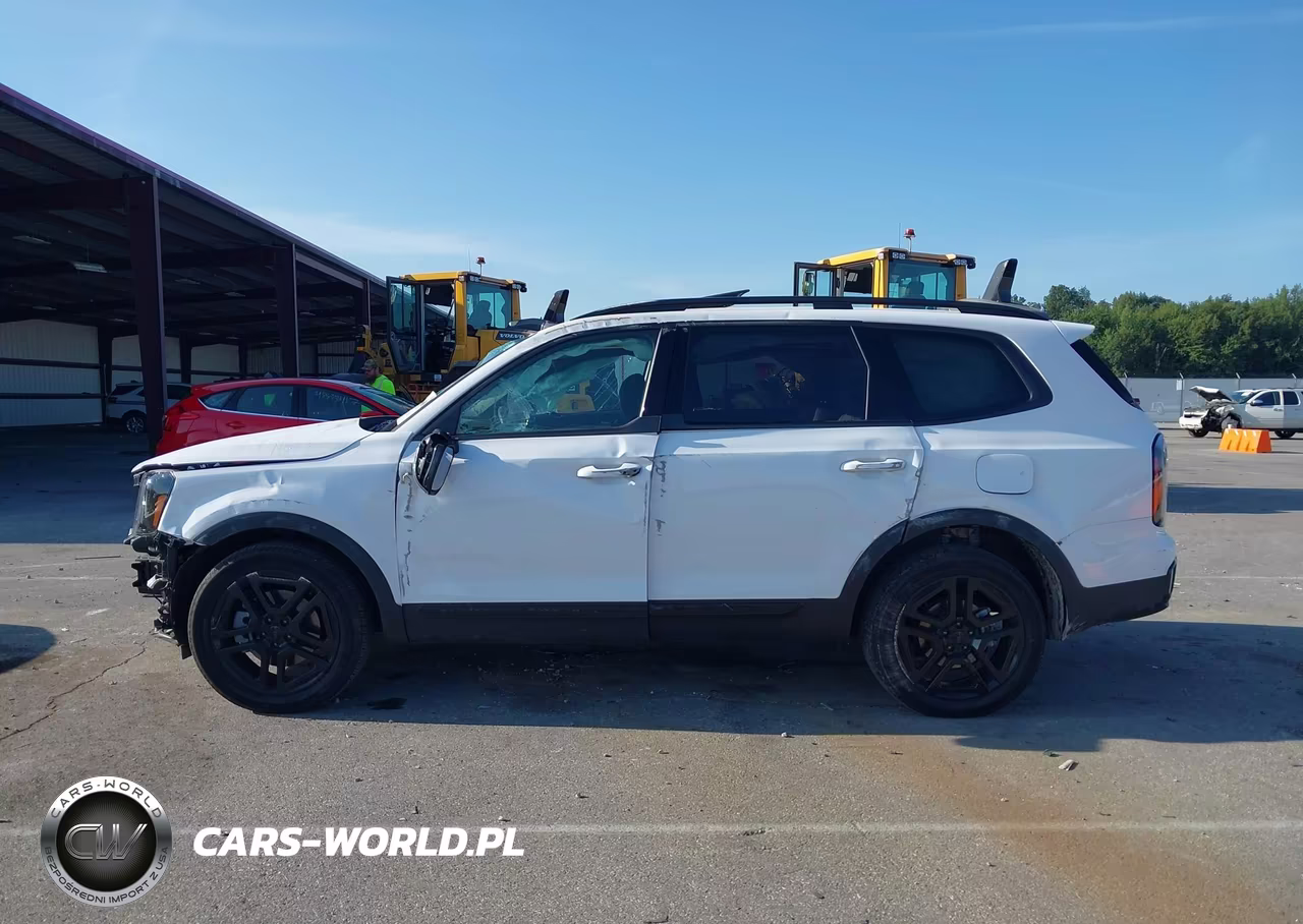 2025 Kia Telluride Ex X-Line VIN:5XYP3DGC4SG725949 - 14