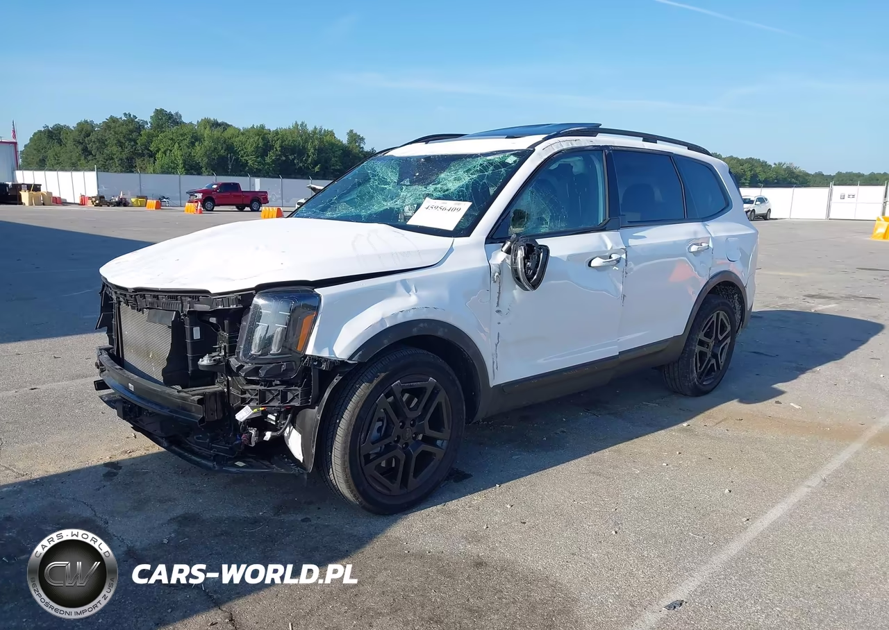 2025 Kia Telluride Ex X-Line VIN:5XYP3DGC4SG725949 - 2