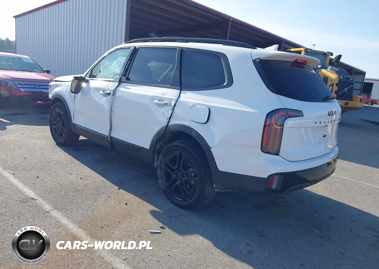2025 Kia Telluride Ex X-Line VIN:5XYP3DGC4SG725949 - 3