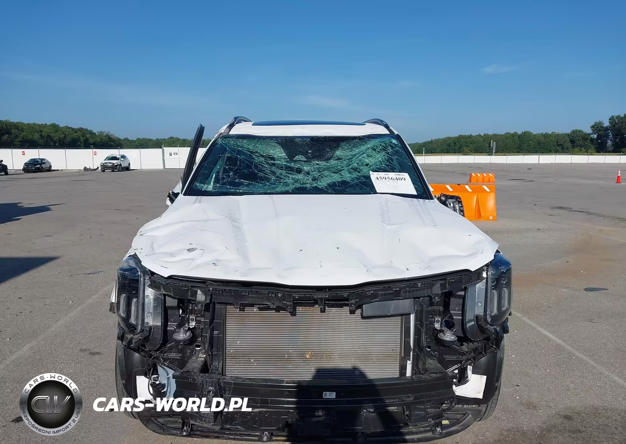 2025 Kia Telluride Ex X-Line VIN:5XYP3DGC4SG725949 - 6