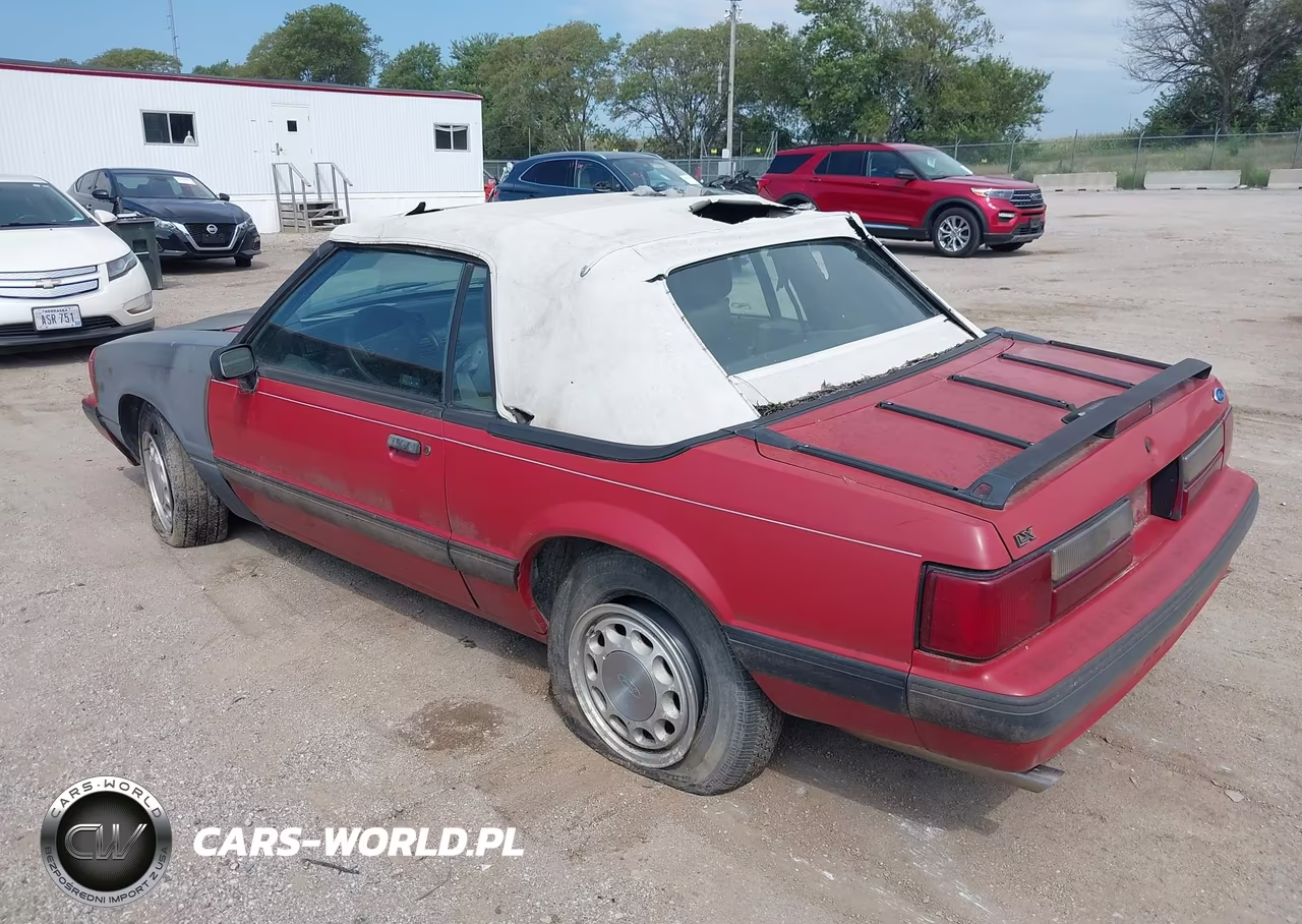1989 Ford Mustang Lx VIN:1FABP44E6KF242749 - 3