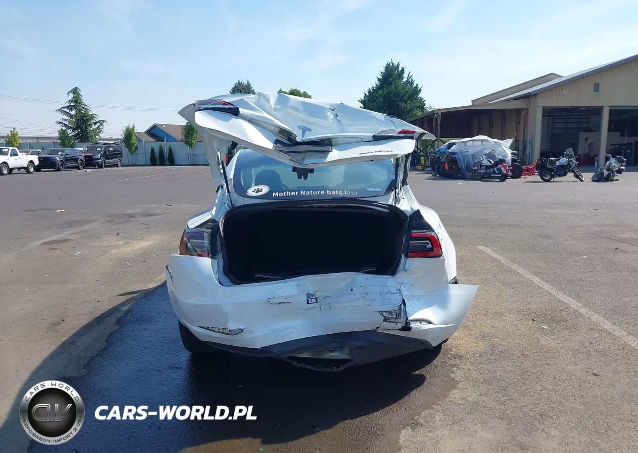 2020 Tesla Model 3 Long Range Dual Motor All-Wheel Drive VIN:5YJ3E1EB8LF621409 - 17