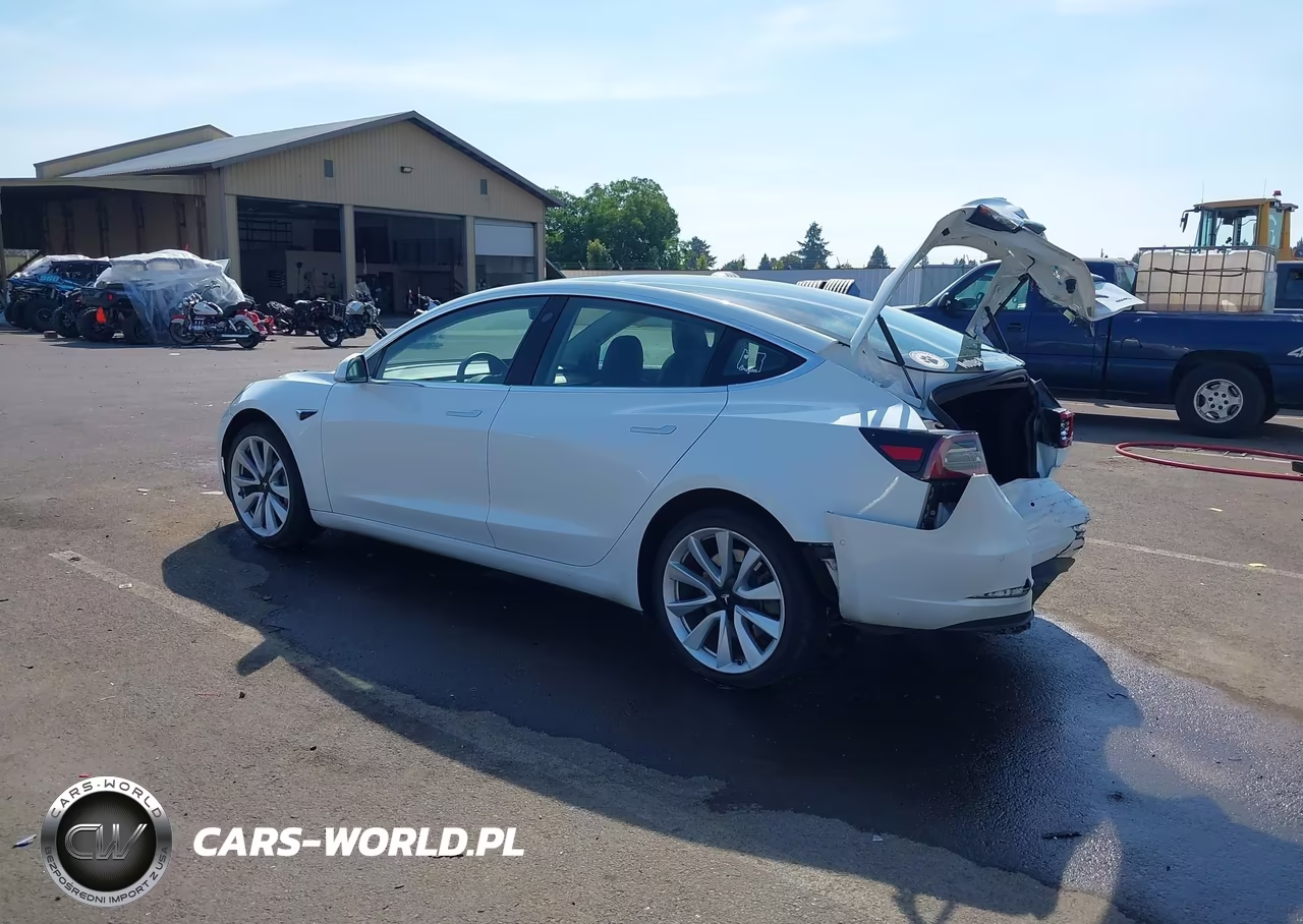2020 Tesla Model 3 Long Range Dual Motor All-Wheel Drive VIN:5YJ3E1EB8LF621409 - 3