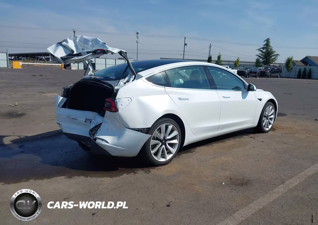 2020 Tesla Model 3 Long Range Dual Motor All-Wheel Drive VIN:5YJ3E1EB8LF621409 - 4