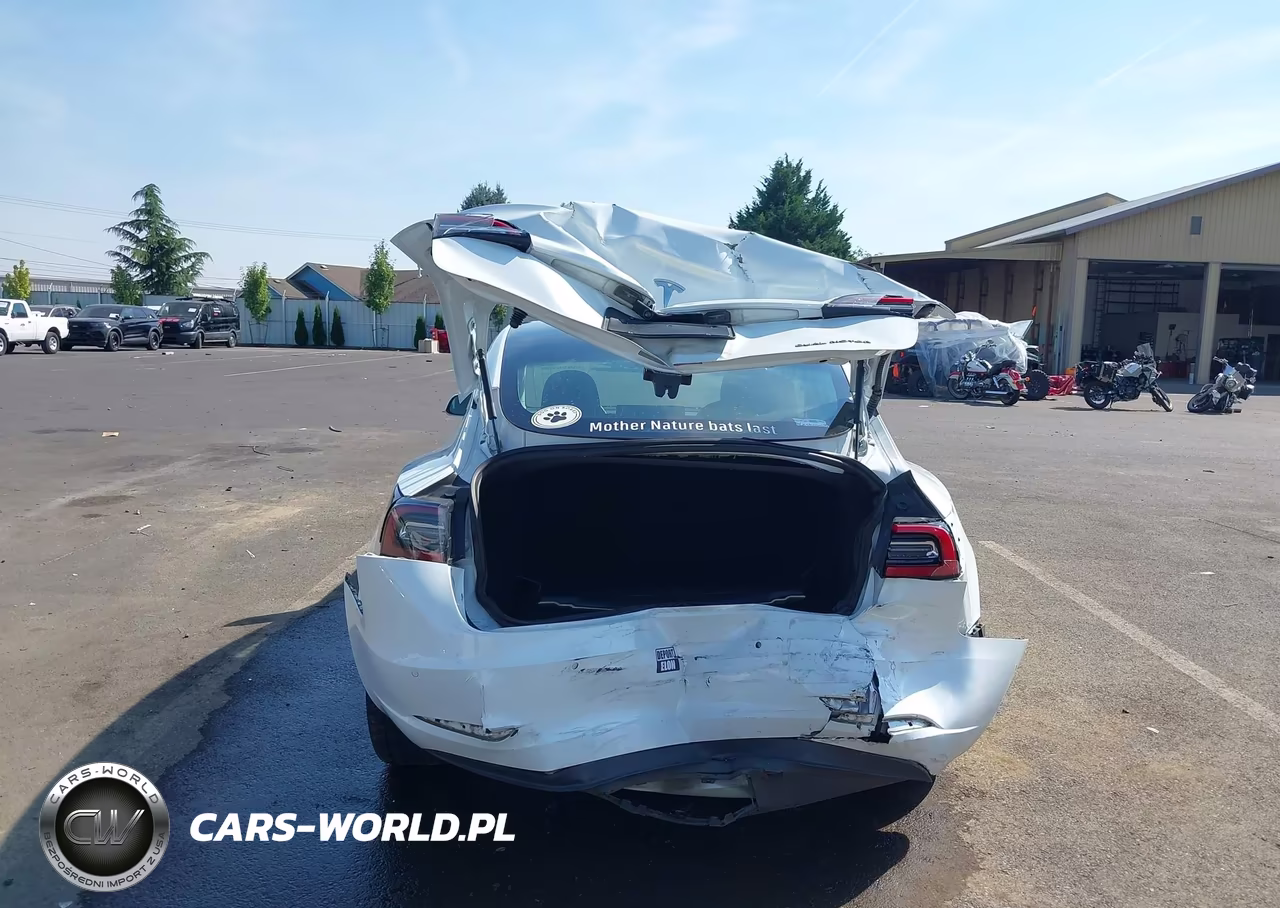 2020 Tesla Model 3 Long Range Dual Motor All-Wheel Drive VIN:5YJ3E1EB8LF621409 - 6