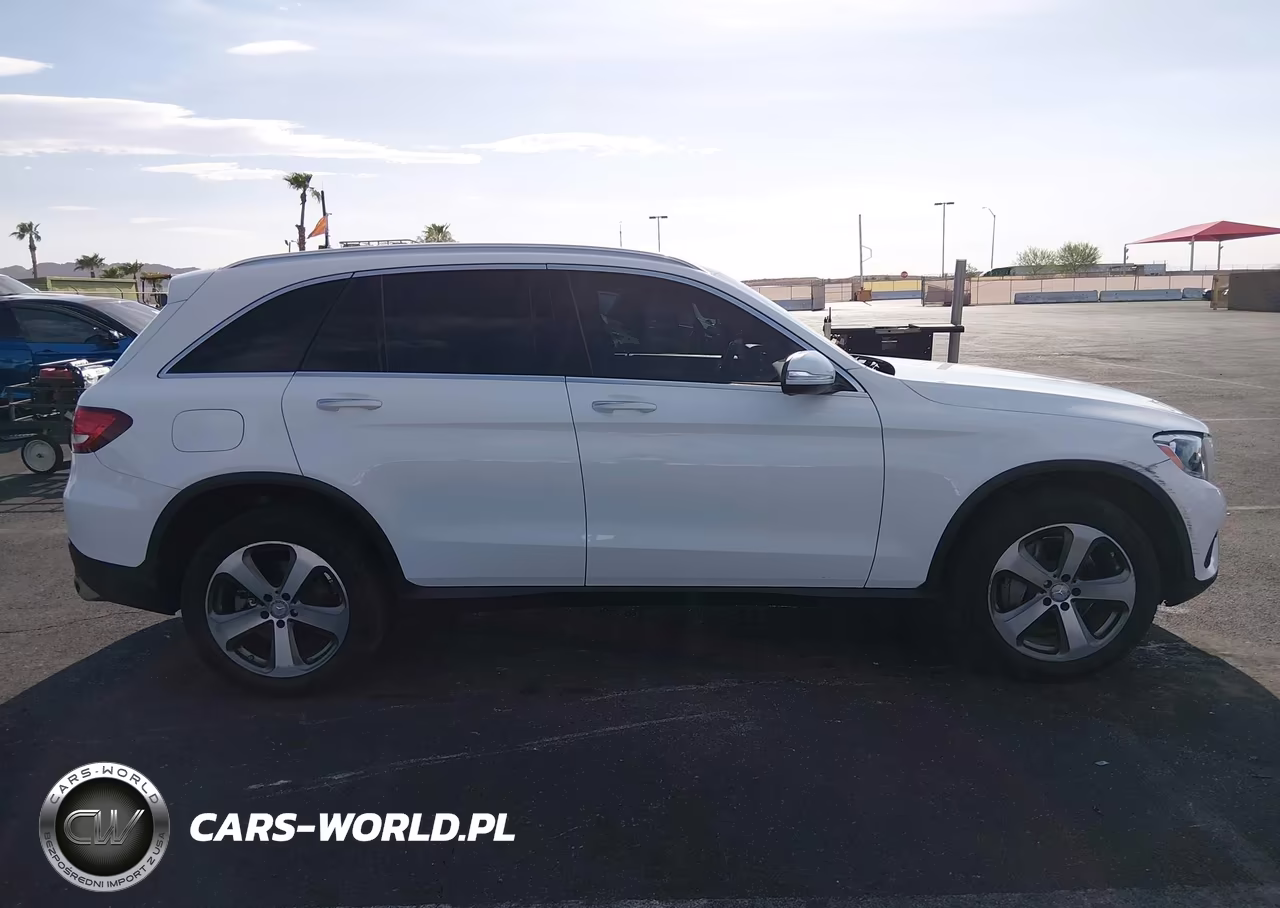 2016 Mercedes-Benz Glc 300 VIN:WDC0G4JB1GF039295 - 13