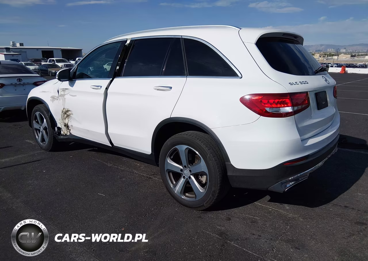 2016 Mercedes-Benz Glc 300 VIN:WDC0G4JB1GF039295 - 3