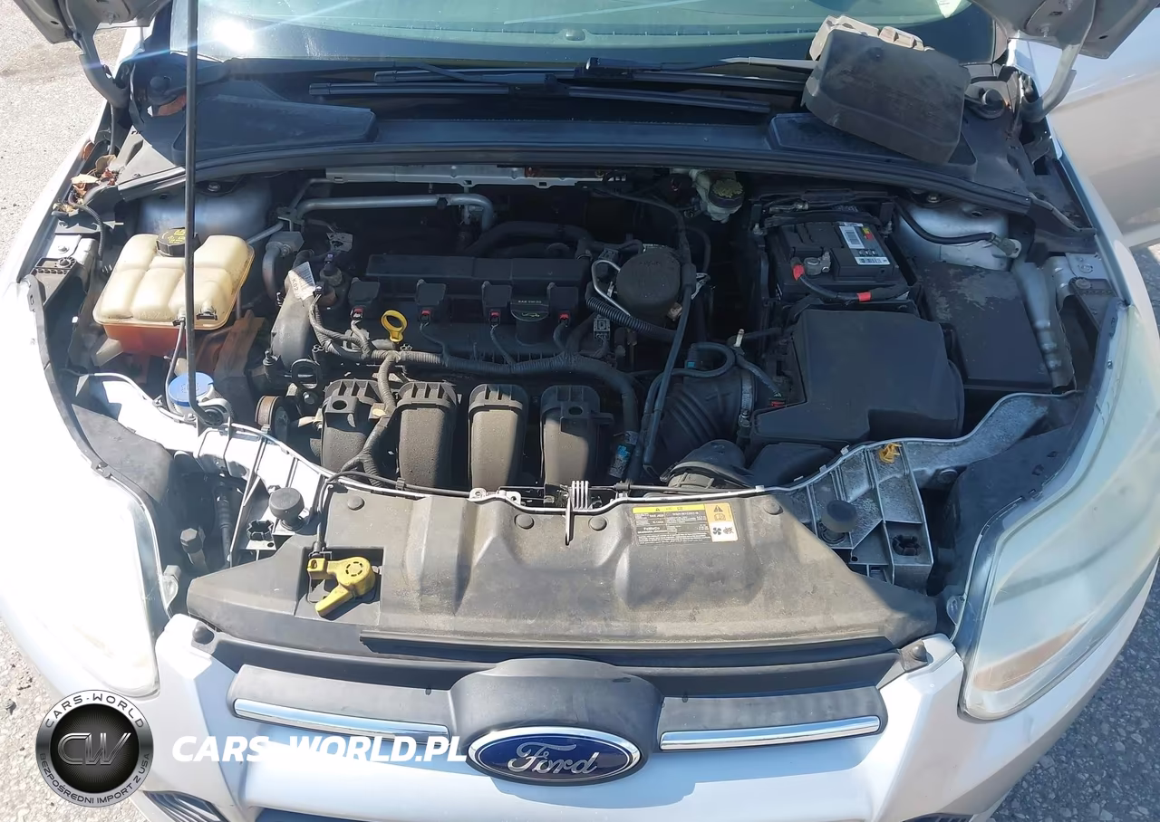 2014 Ford Focus Se VIN:1FADP3F24EL146646 - 10