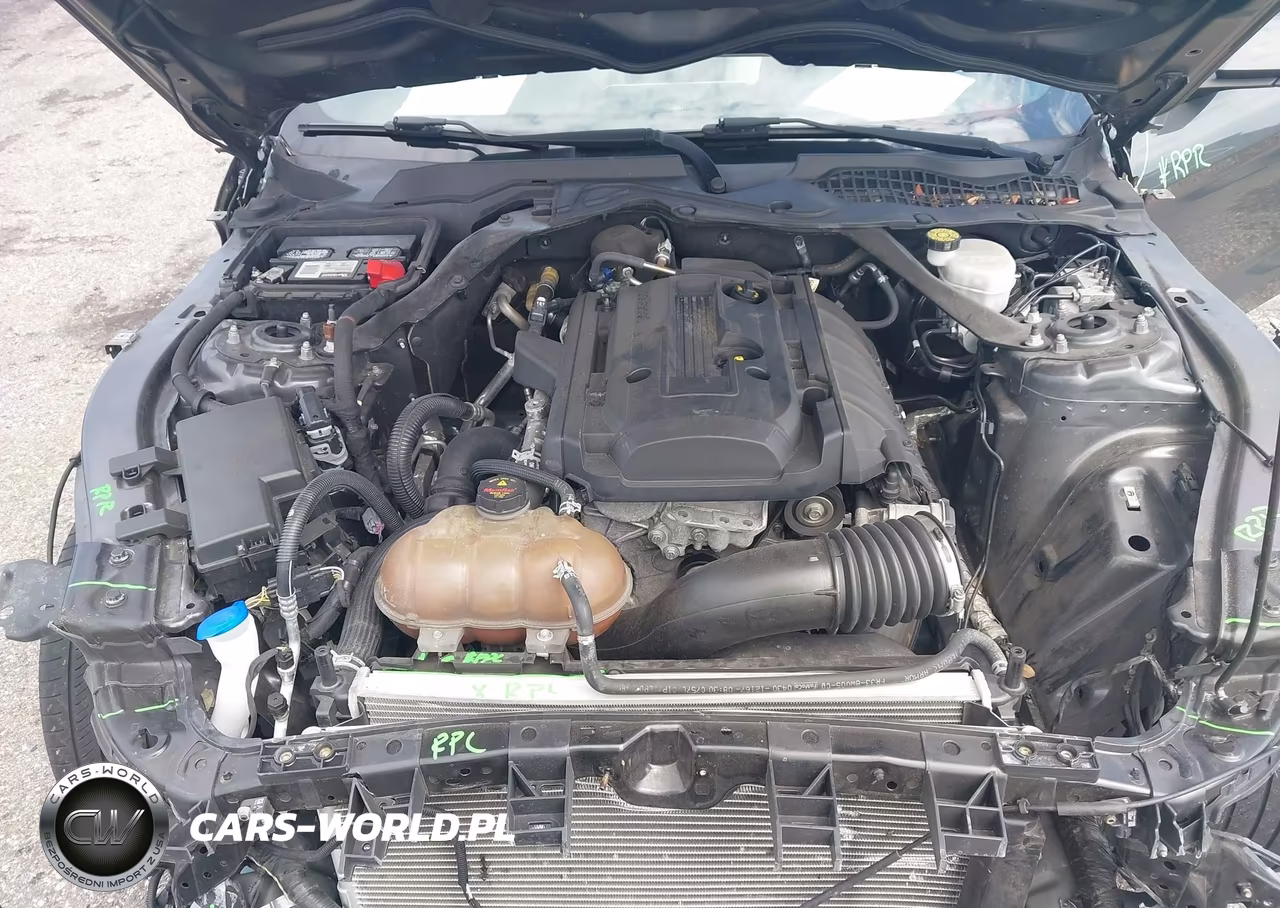 2020 Ford Mustang Ecoboost Premium VIN:1FATP8UH2L5143133 - 10