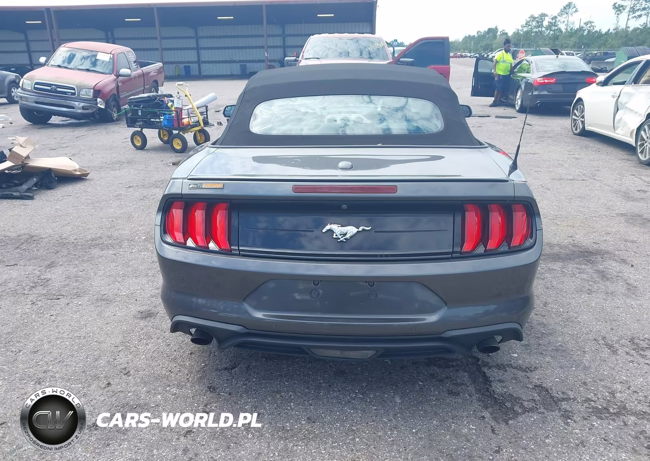 2020 Ford Mustang Ecoboost Premium VIN:1FATP8UH2L5143133 - 17