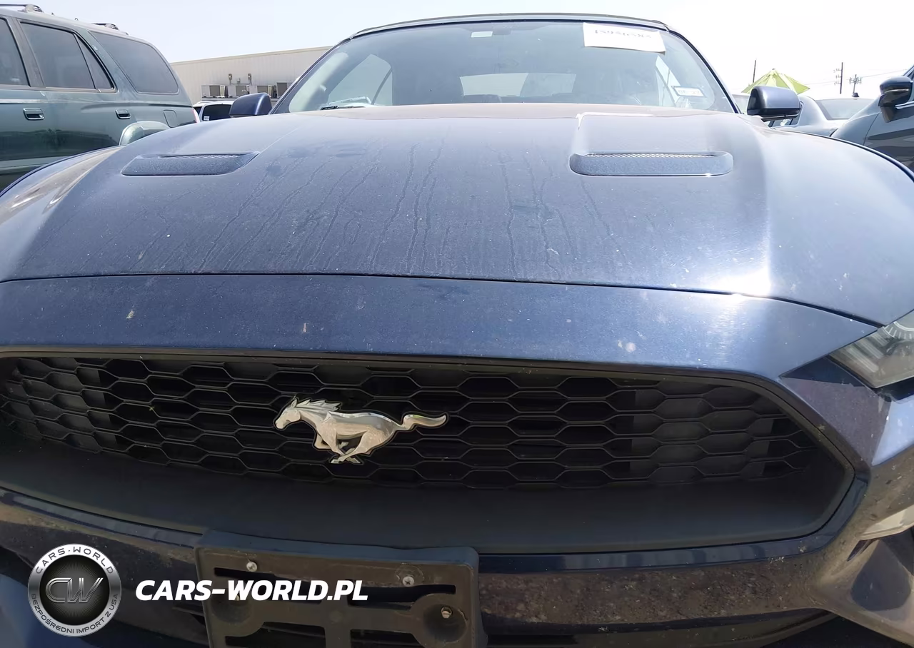 2018 Ford Mustang Ecoboost Premium VIN:1FATP8UHXJ5139375 - 13