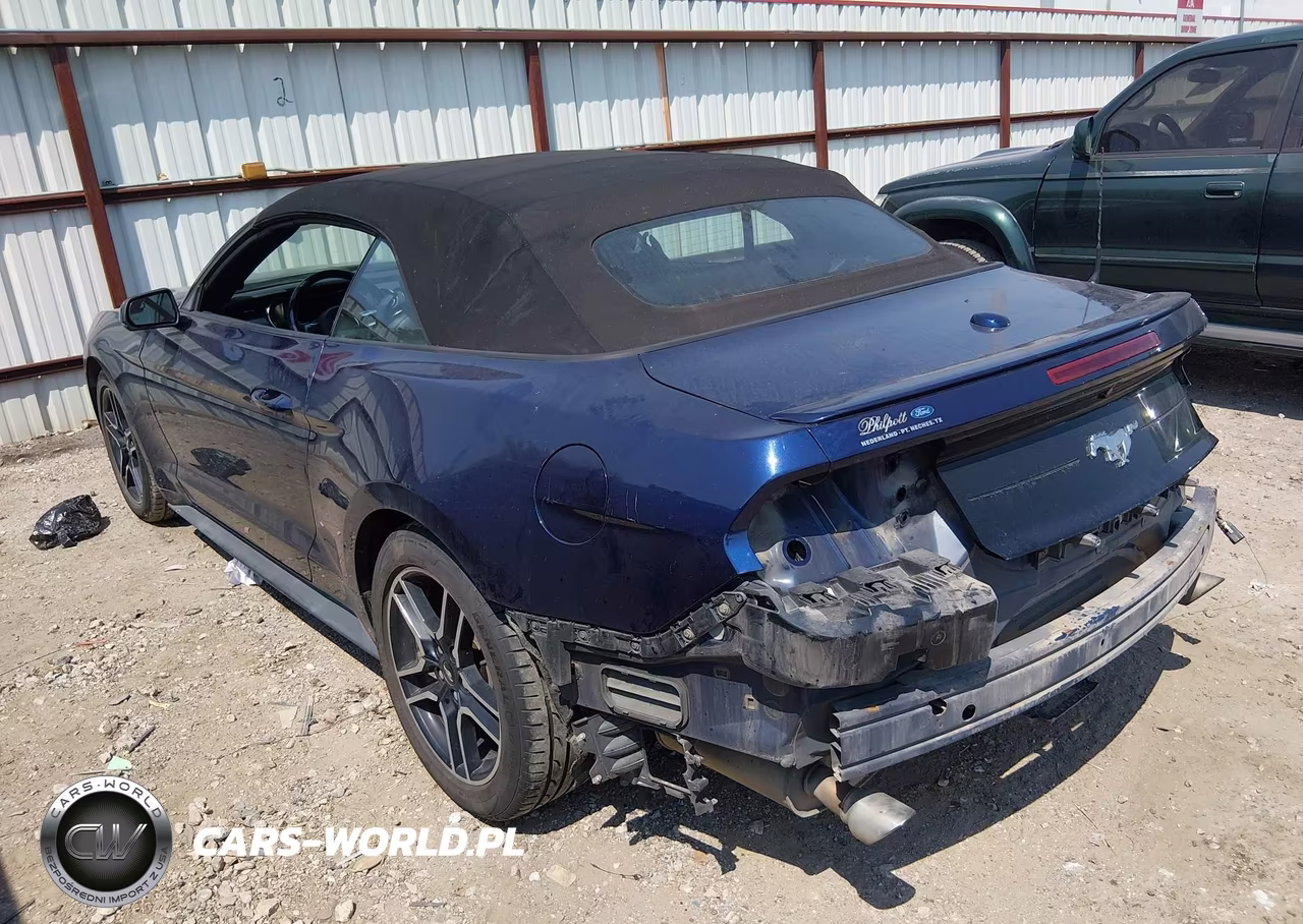2018 Ford Mustang Ecoboost Premium VIN:1FATP8UHXJ5139375 - 3
