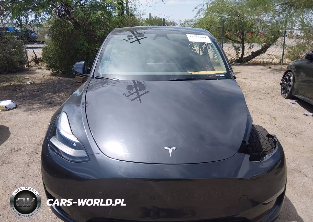 2024 Tesla Model Y Long Range Dual Motor All-Wheel Drive VIN:7SAYGDEE8RF994344 - 11