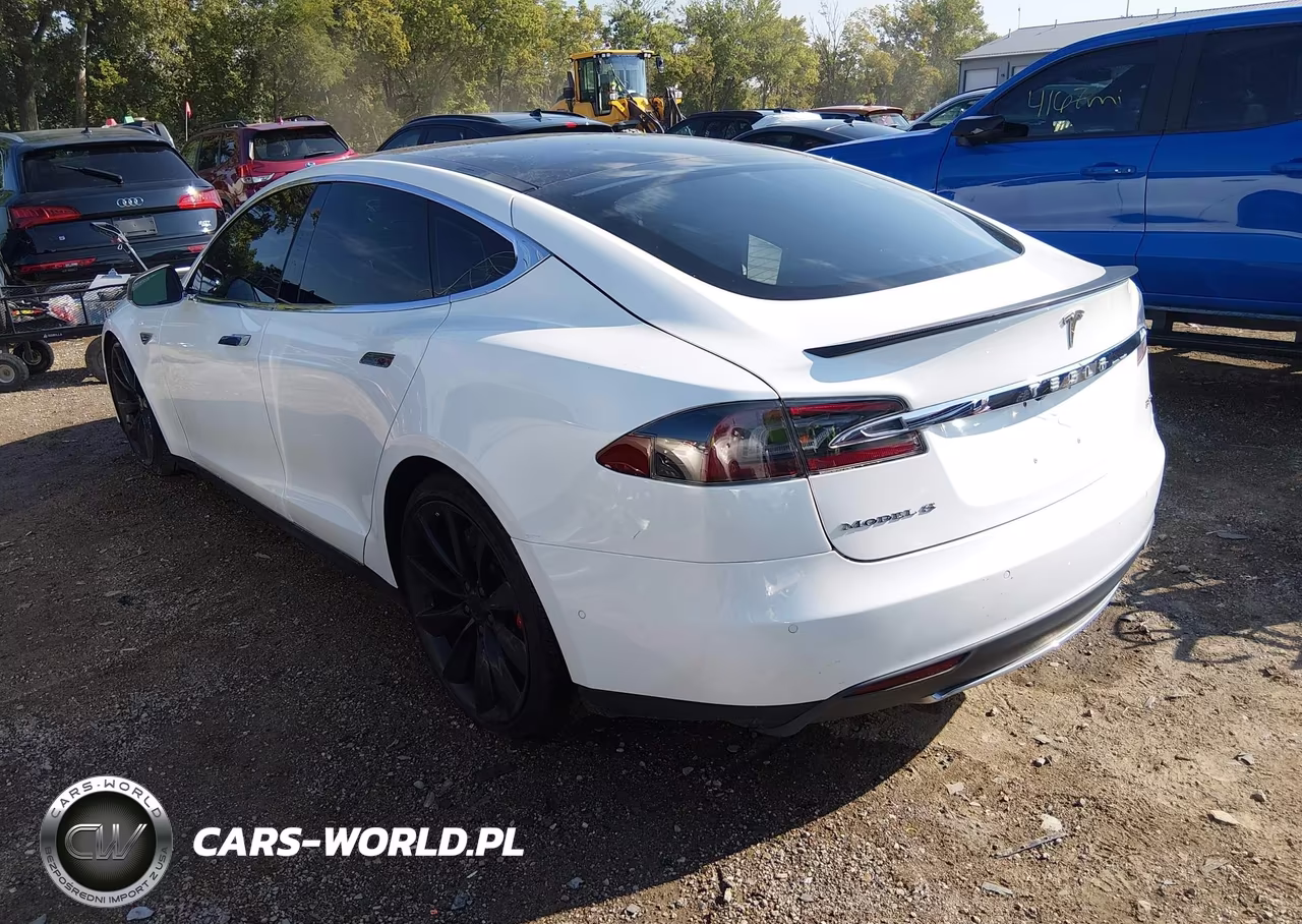 2015 Tesla Model S 85D-P85D VIN:5YJSA1E42FF115619 - 3