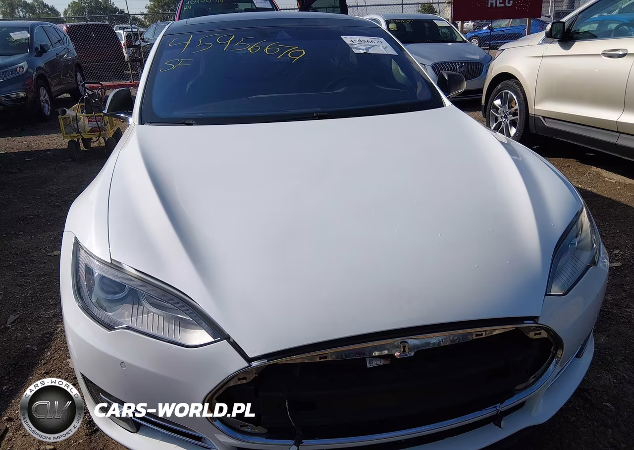 2015 Tesla Model S 85D-P85D VIN:5YJSA1E42FF115619 - 6