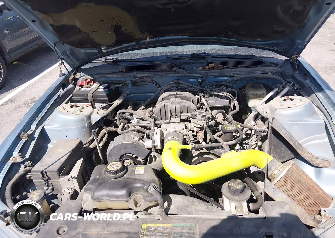 2005 Ford Mustang V6 Deluxe-V6 Premium VIN:1ZVFT80N255125892 - 10
