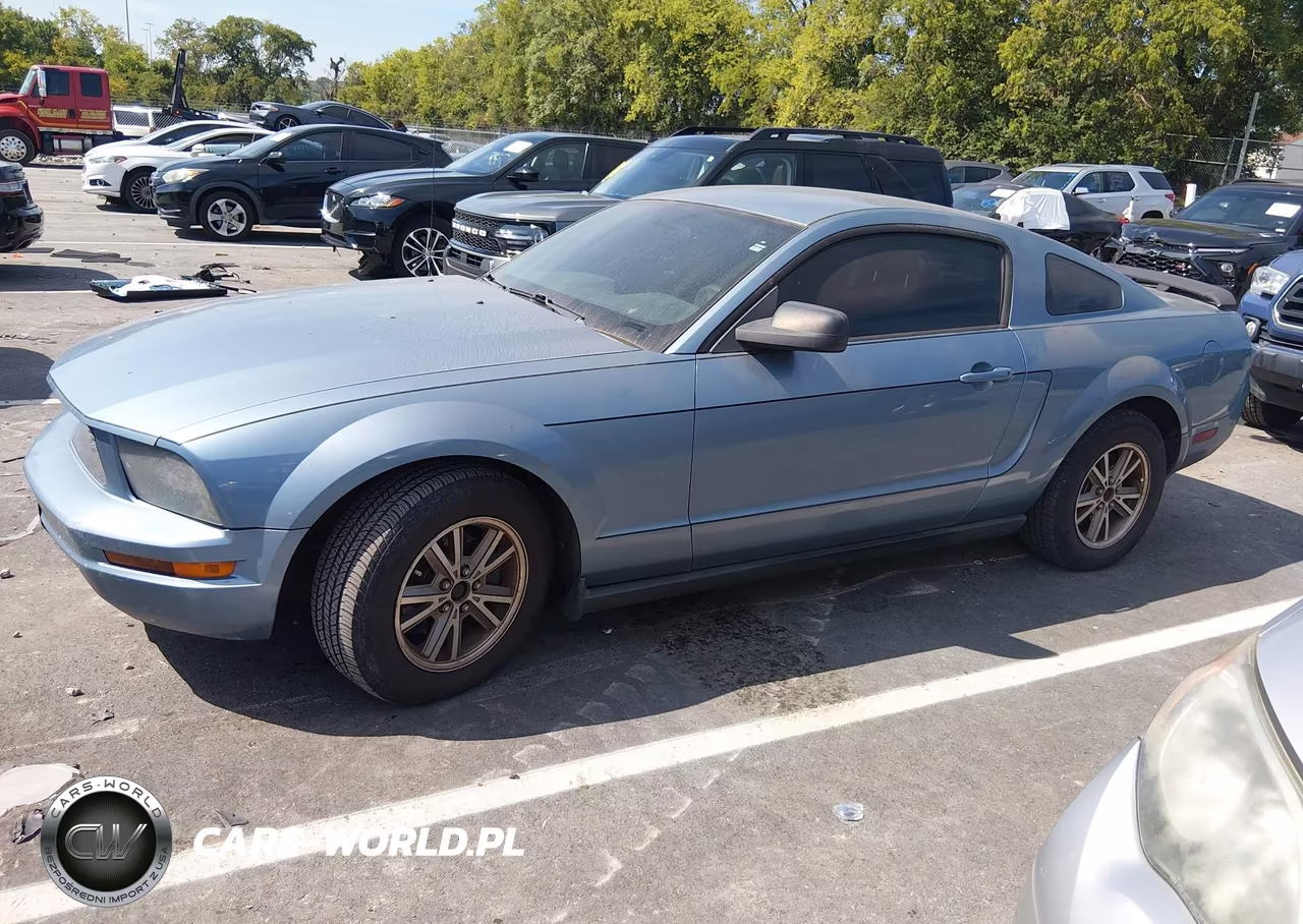 2005 Ford Mustang V6 Deluxe-V6 Premium VIN:1ZVFT80N255125892 - 2