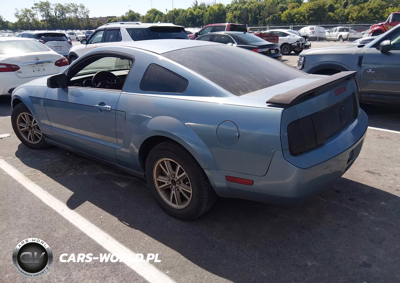 2005 Ford Mustang V6 Deluxe-V6 Premium VIN:1ZVFT80N255125892 - 3