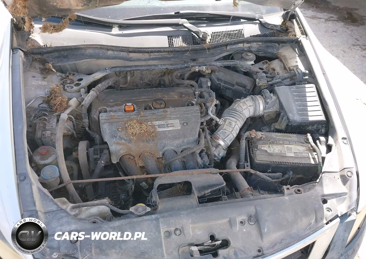 2009 Honda Accord 2.4 Ex VIN:1HGCP26719A048477 - 10