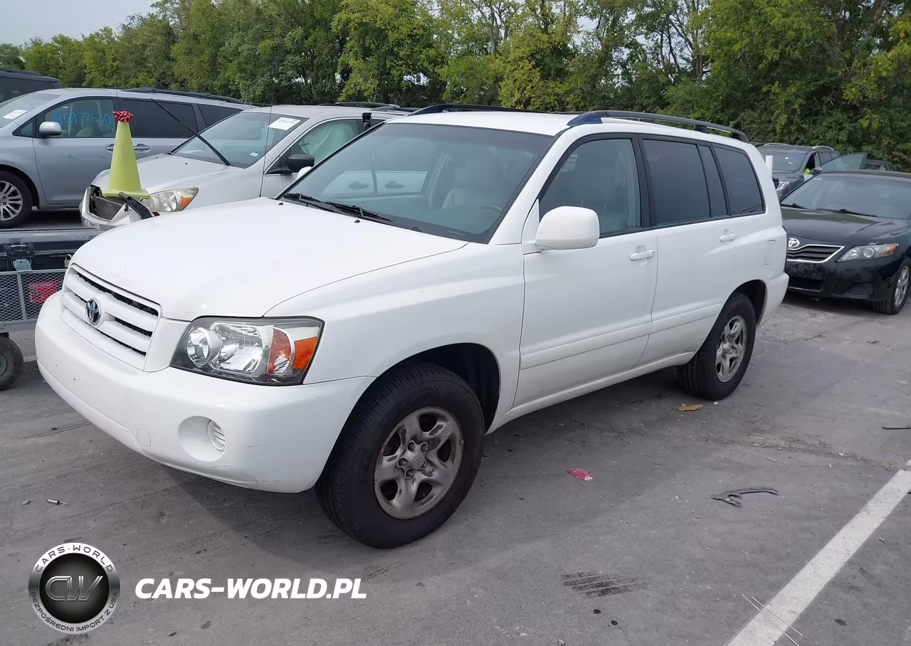 2004 Toyota Highlander VIN:JTEGD21A840100581 - 2