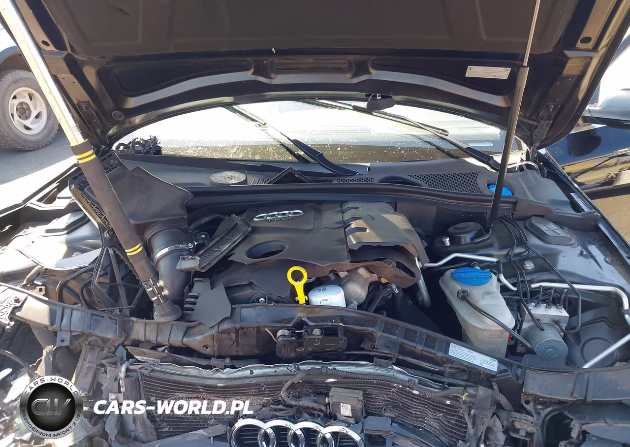 2016 Audi A4 Premium Plus VIN:WAUFFAFL1GN007257 - 10