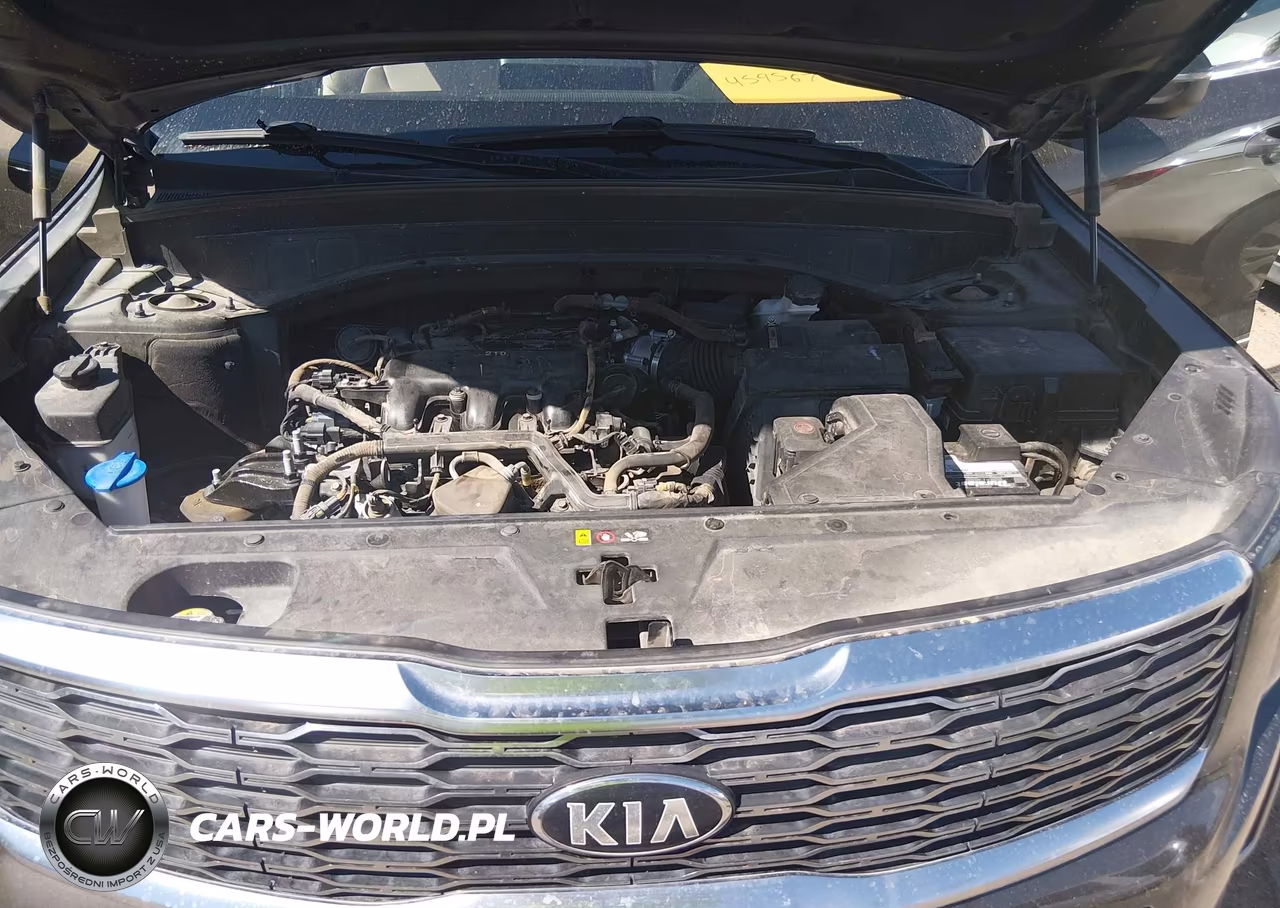 2021 Kia Telluride Ex VIN:5XYP3DHC2MG161901 - 10