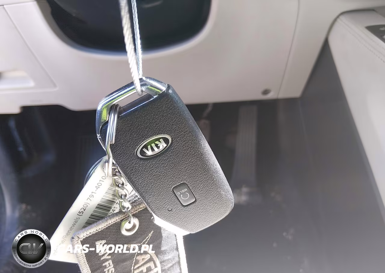 2021 Kia Telluride Ex VIN:5XYP3DHC2MG161901 - 11