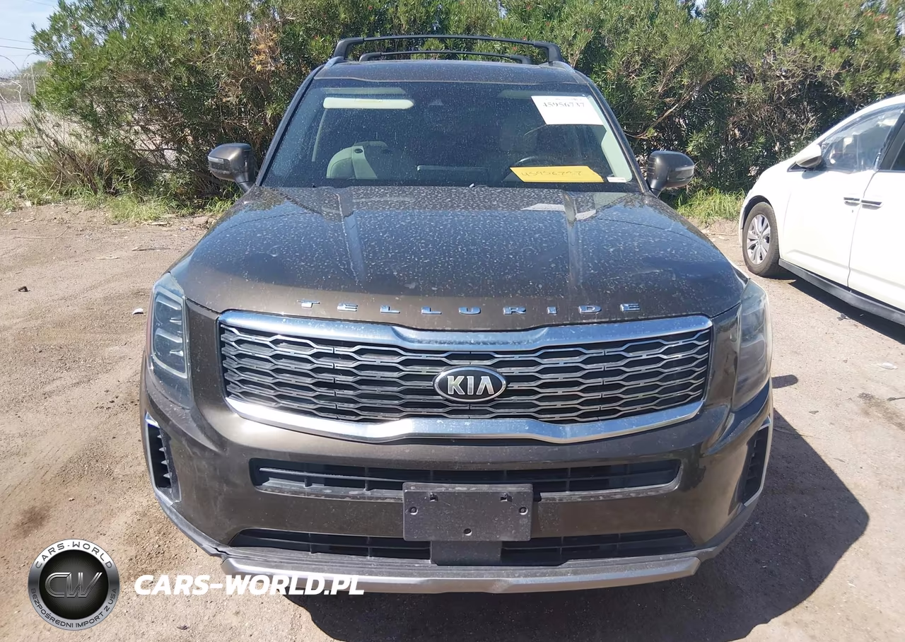 2021 Kia Telluride Ex VIN:5XYP3DHC2MG161901 - 12
