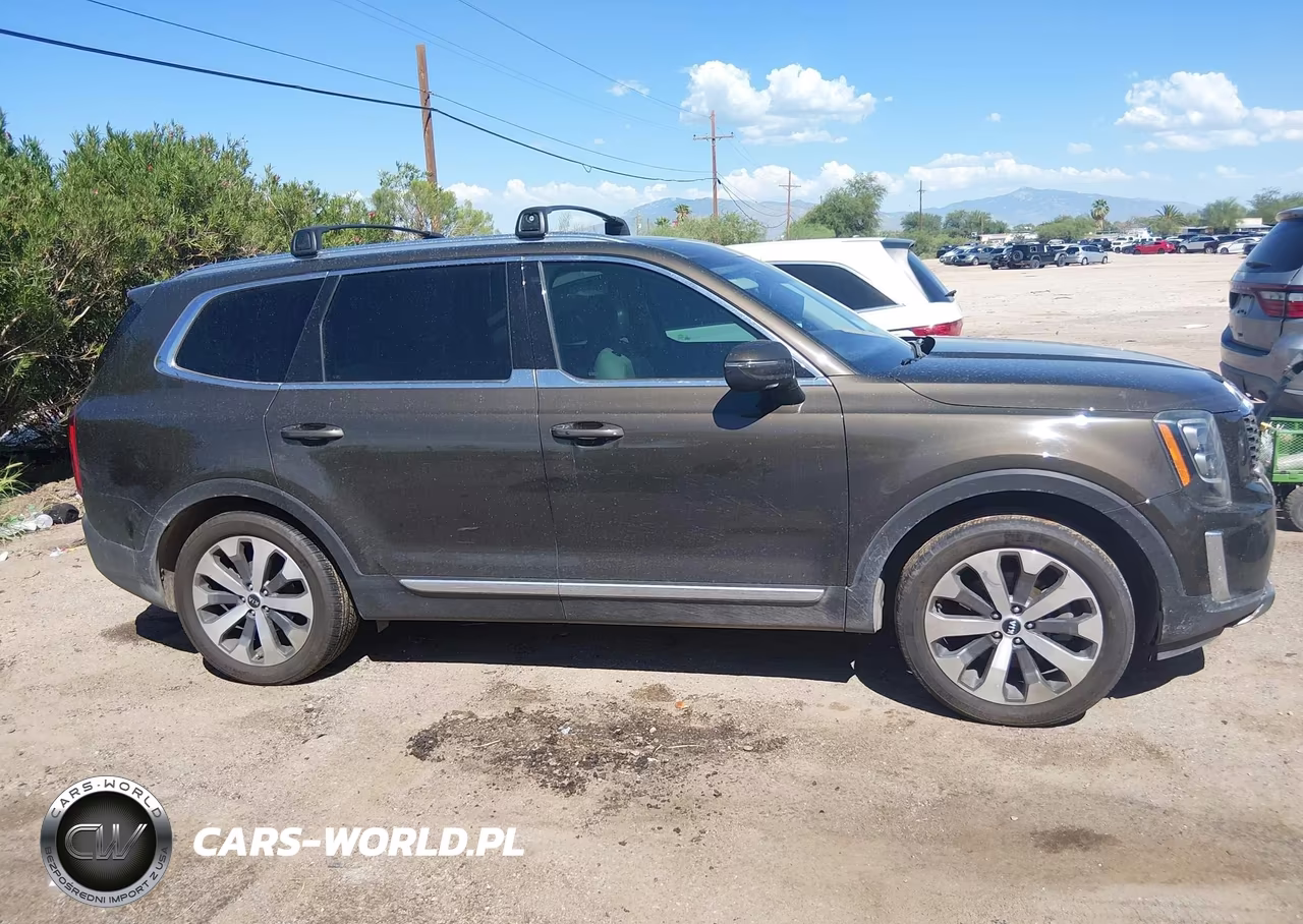 2021 Kia Telluride Ex VIN:5XYP3DHC2MG161901 - 13