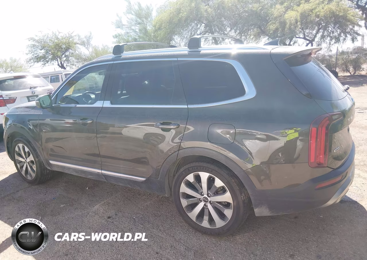 2021 Kia Telluride Ex VIN:5XYP3DHC2MG161901 - 14