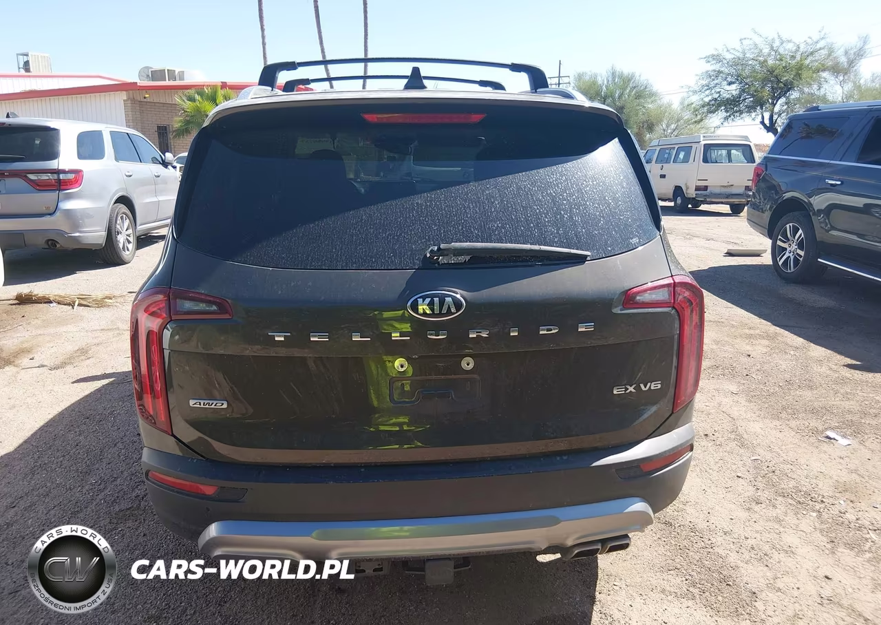 2021 Kia Telluride Ex VIN:5XYP3DHC2MG161901 - 16