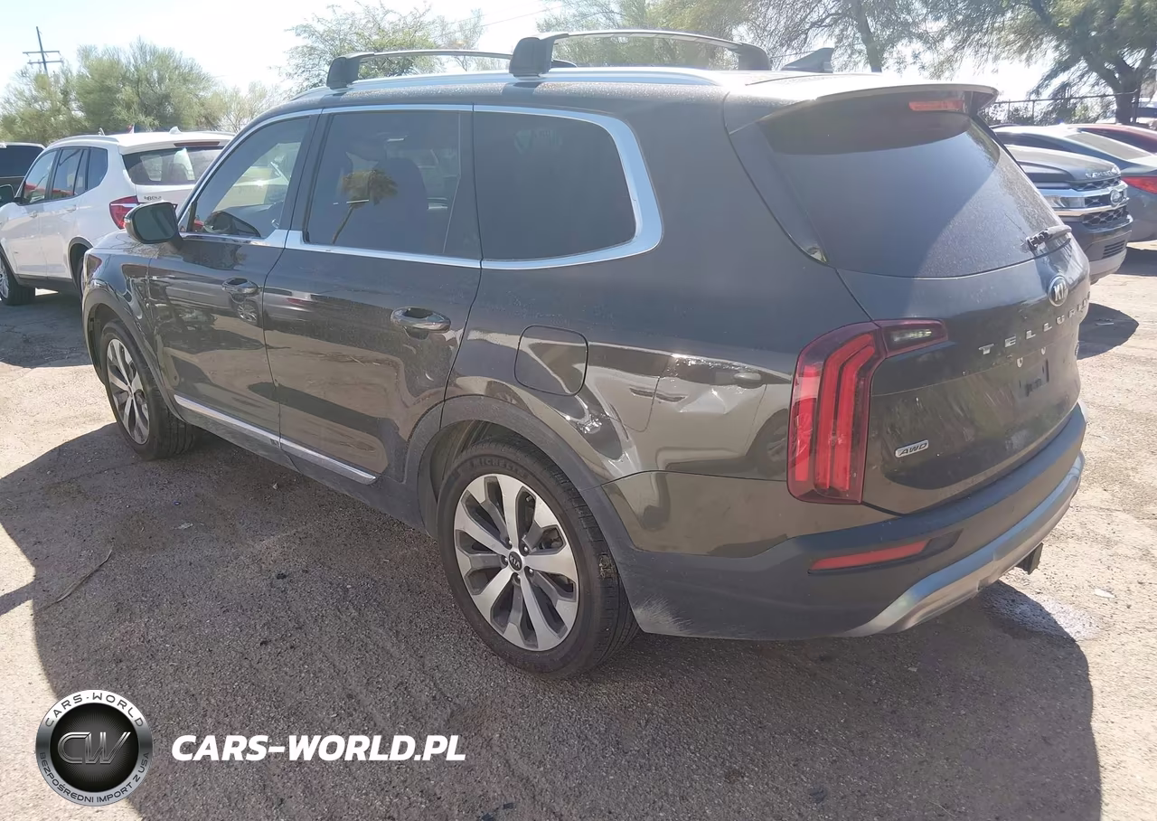 2021 Kia Telluride Ex VIN:5XYP3DHC2MG161901 - 3