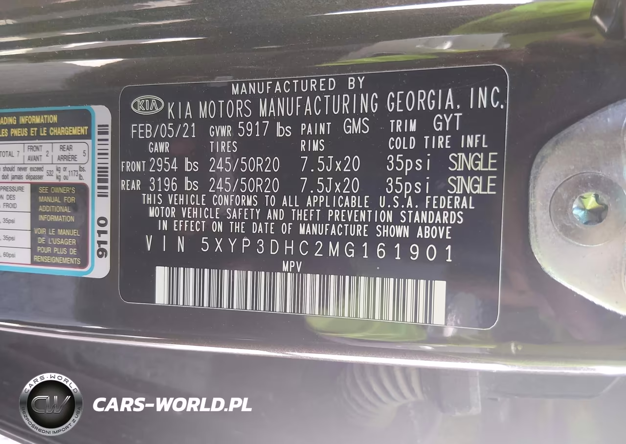 2021 Kia Telluride Ex VIN:5XYP3DHC2MG161901 - 9