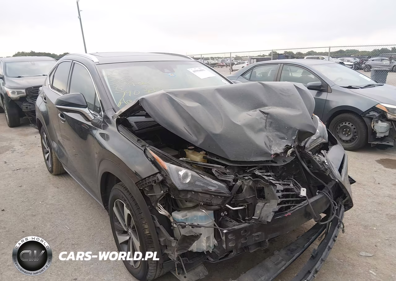 2019 Lexus Nx 300