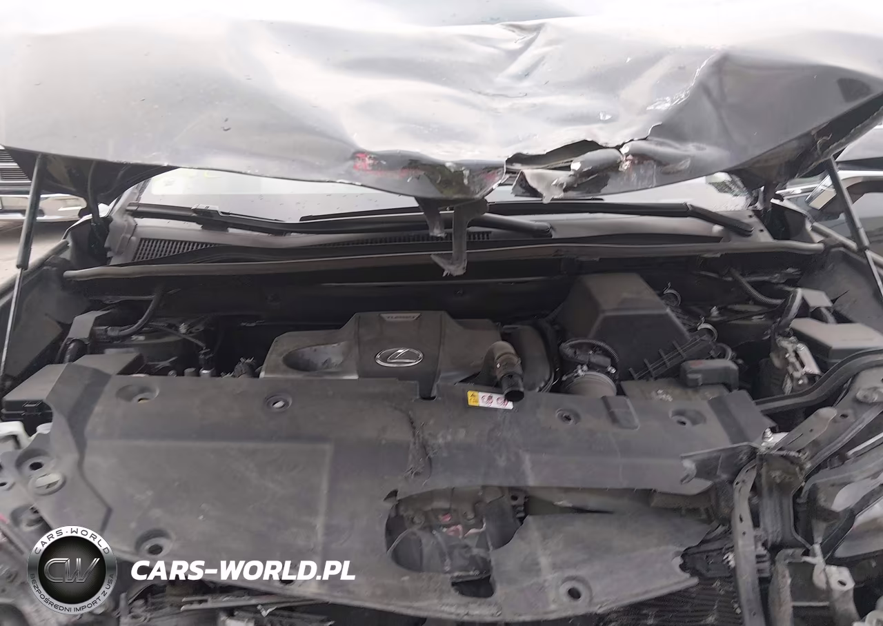 2019 Lexus Nx 300 VIN:JTJYARBZ3K2132917 - 10
