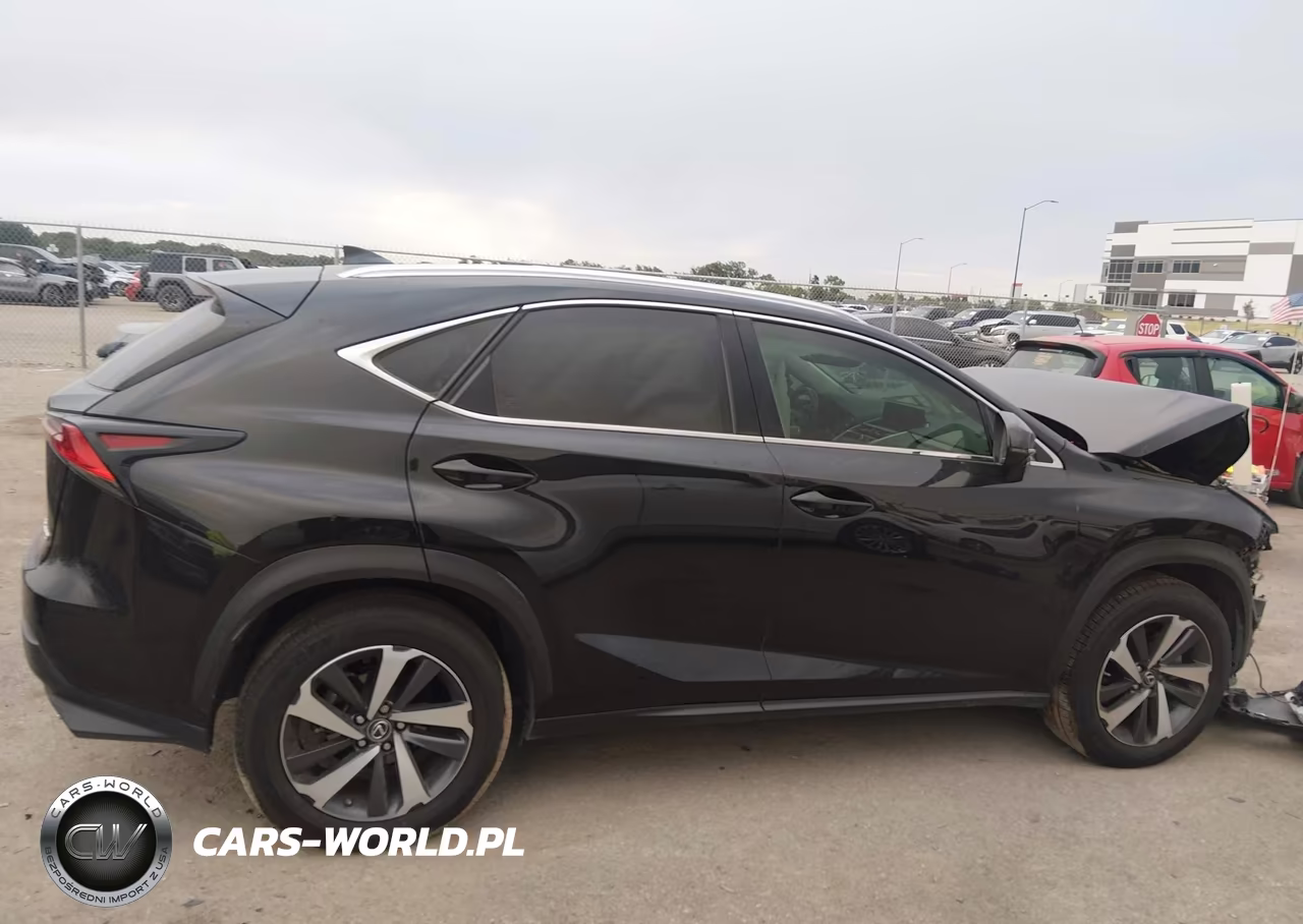 2019 Lexus Nx 300 VIN:JTJYARBZ3K2132917 - 13
