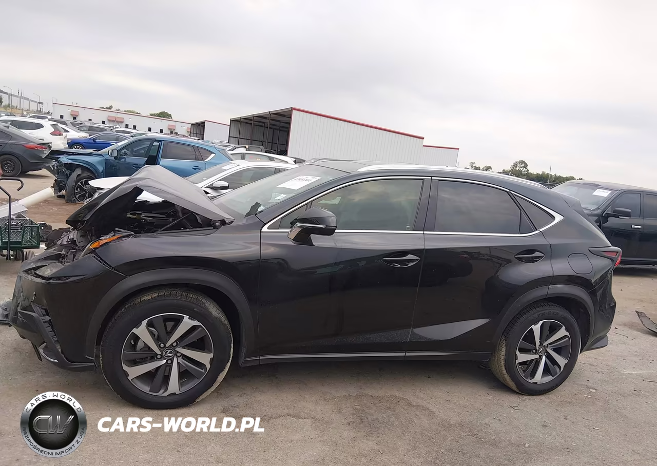 2019 Lexus Nx 300 VIN:JTJYARBZ3K2132917 - 14