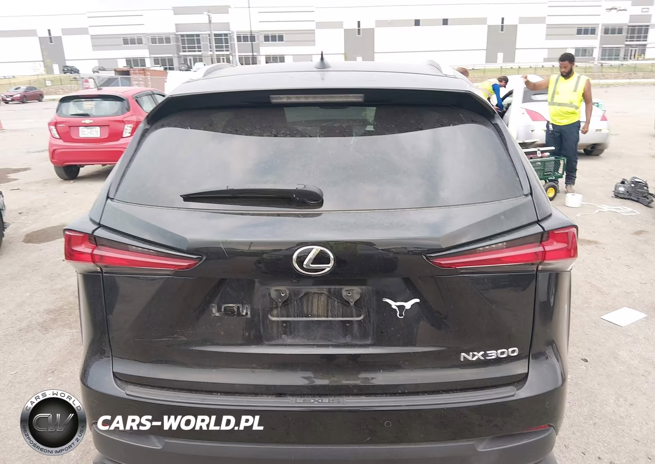 2019 Lexus Nx 300 VIN:JTJYARBZ3K2132917 - 16