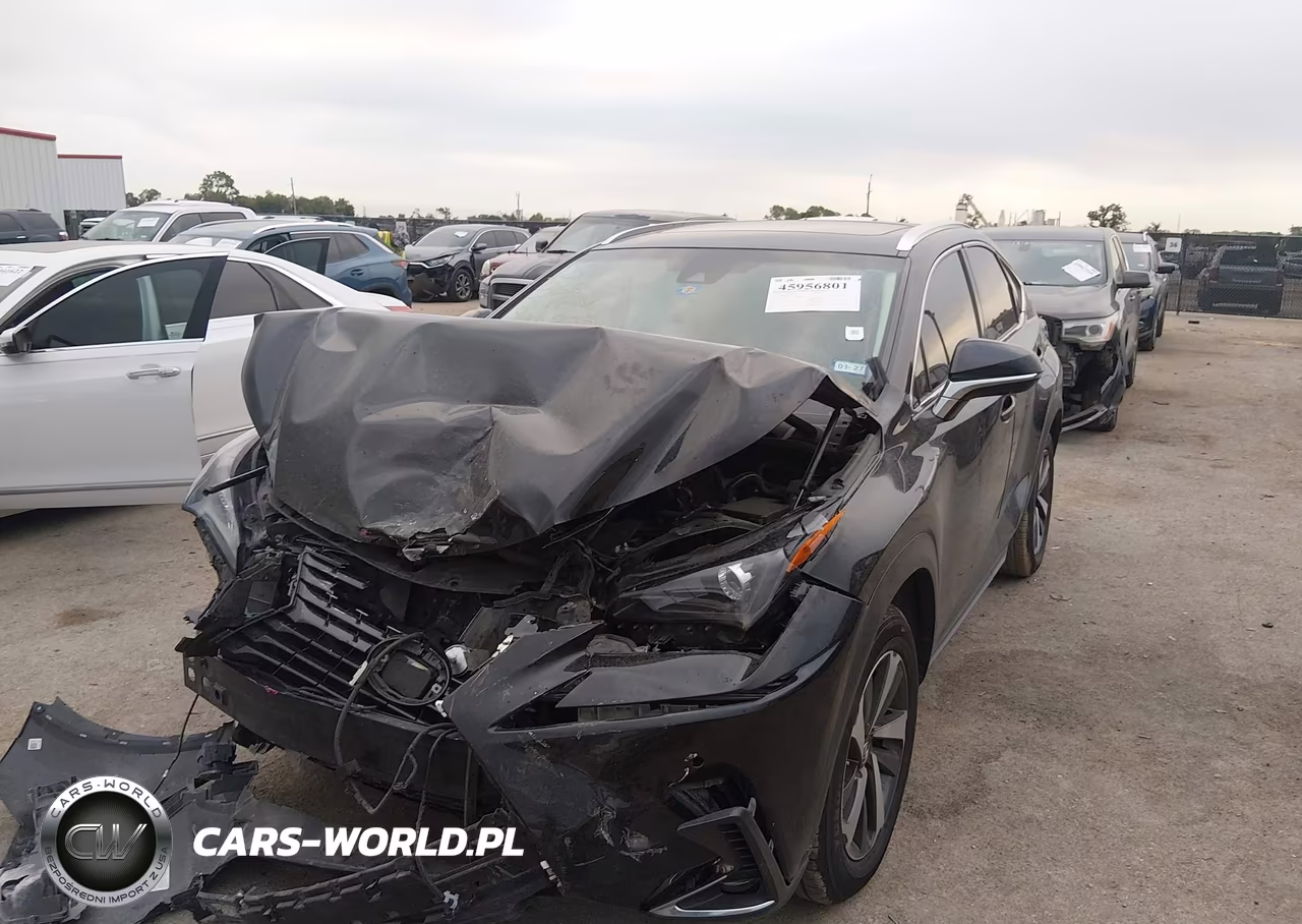 2019 Lexus Nx 300 VIN:JTJYARBZ3K2132917 - 2