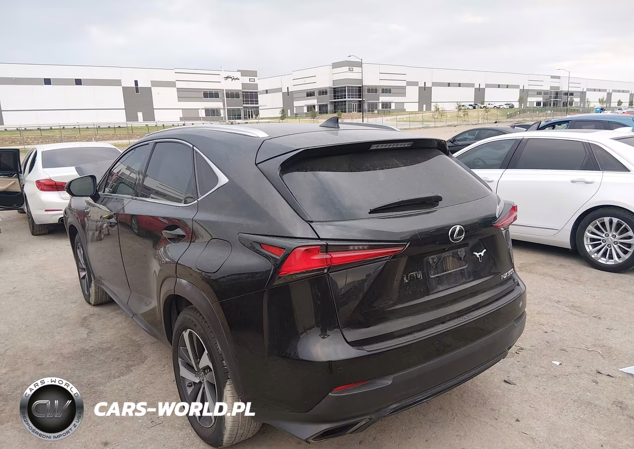2019 Lexus Nx 300 VIN:JTJYARBZ3K2132917 - 3