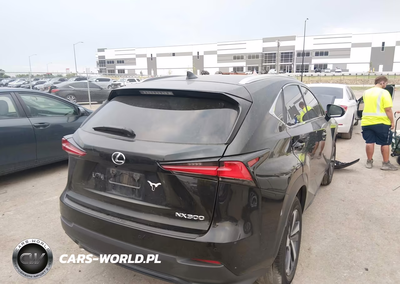 2019 Lexus Nx 300 VIN:JTJYARBZ3K2132917 - 4