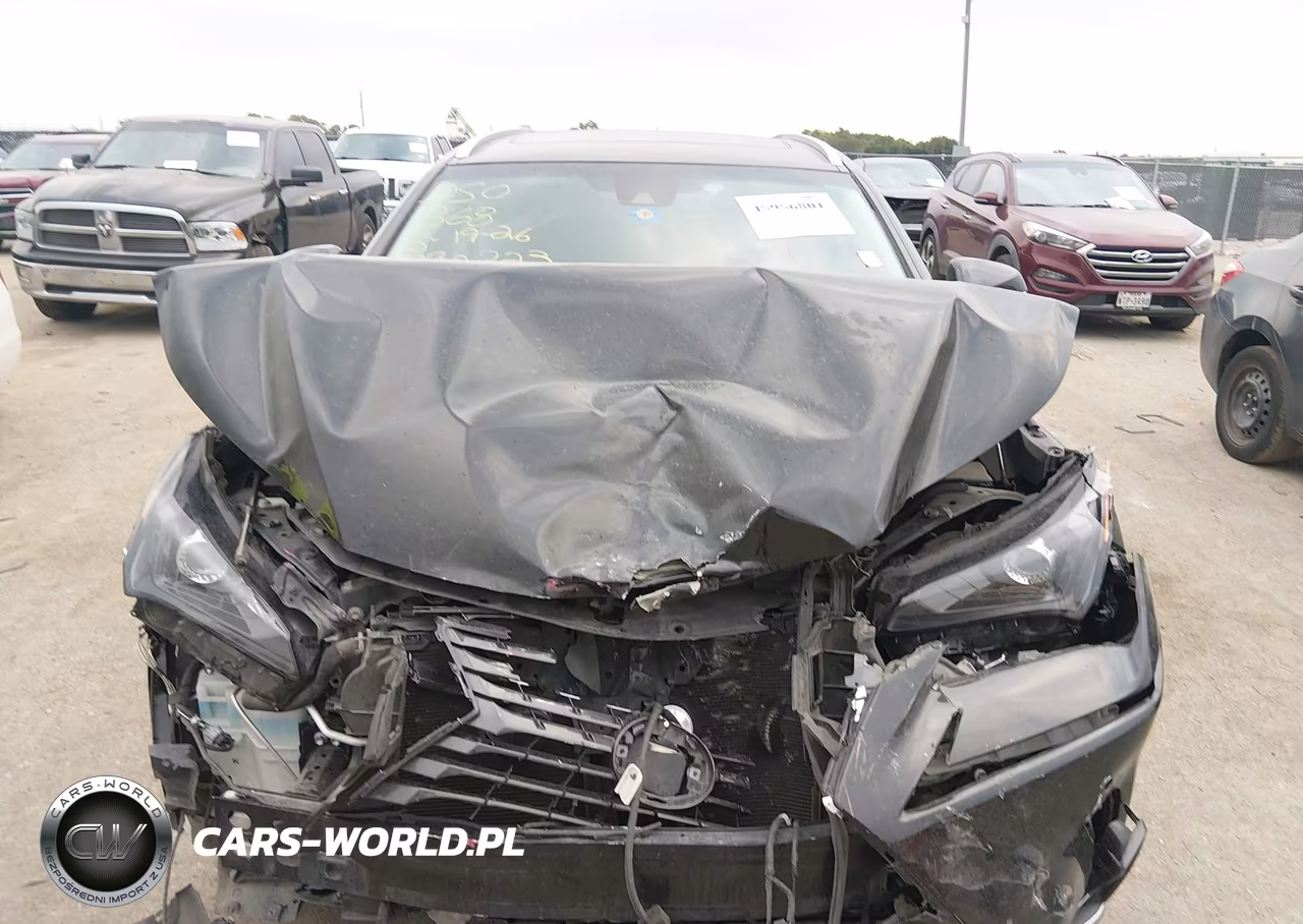 2019 Lexus Nx 300 VIN:JTJYARBZ3K2132917 - 6